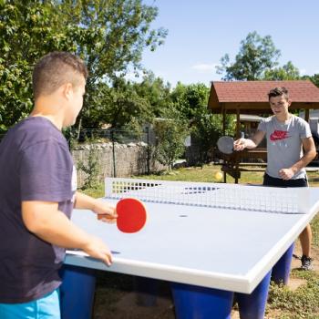Table ping-pong