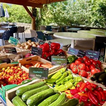 Le petit marché au camping